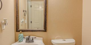 3240 PERUVIAN PASO Drive Gallery 17