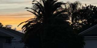 2914 River Birch Drive Gallery 11