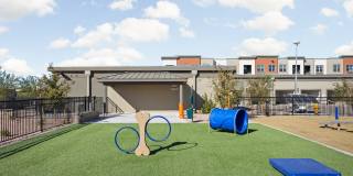 The Maddox Gallery 43