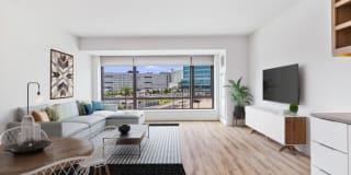 Ora Gallery 41