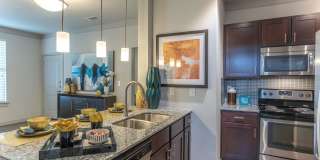 The Pointe at West Lake Gallery 1