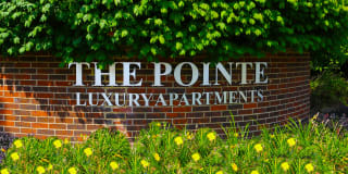 The Pointe Gallery 15