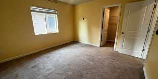 Updated 4 Bedroom Lacey/Hawks Prairie Home for Rent Gallery 19