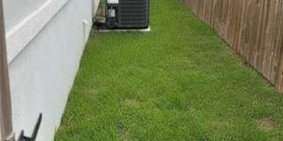 1809 Stauffer Street Gallery 12