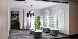 Soho Lofts Gallery 12