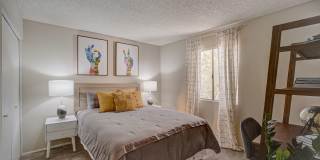 Portola North Phoenix Gallery 10