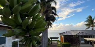 Gated Kūʻau Home Gallery 25