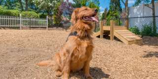 Edgewood Court Gallery 19