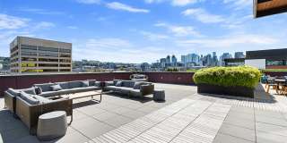 Westlake Steps Gallery 42
