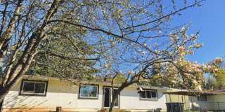 Charming 4BR Home with Huge Yard - W/D and Garage Gallery 12