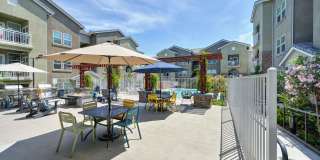 Vela Apartments Gallery 86