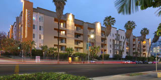 The Vantage Gallery 8