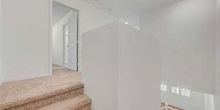 3548 Dimora Street Gallery 20