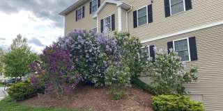 10 Sentinel Court Gallery 8