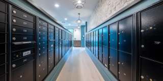 Alta Cypress Gallery 23