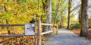 Bay Court at Harbour Pointe Gallery 10