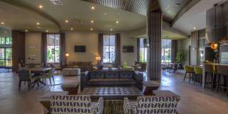 The Strand Gallery 19