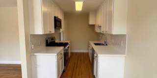 s08096 Gallery 4