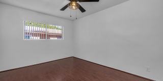 319 Gallery 11