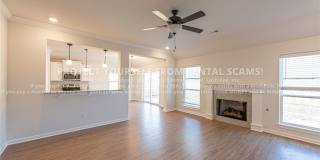 411 Coconut Lane Gallery 5