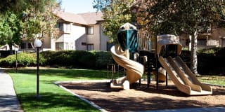 The Arbors Gallery 41