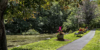 Redwood Hills Gallery 15