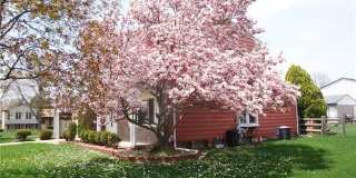 2233 Kettle Drive Gallery 2