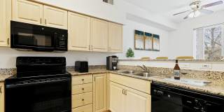 Logger Creek Gallery 3