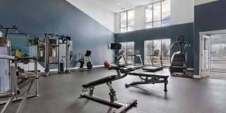 Alvera at The Meadows Gallery 8