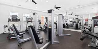 Sonoma Palms Gallery 16