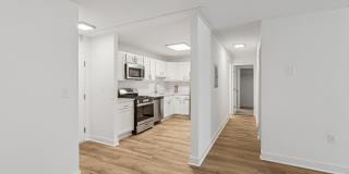 Arrive Silver Spring Gallery 33