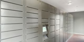 Hadley at Bellmar Gallery 13