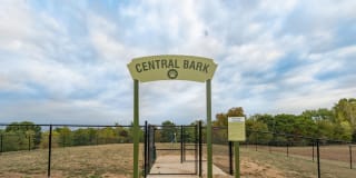 The Fields Gallery 32