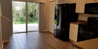 15702 Fishhawk Falls Dr Gallery 12