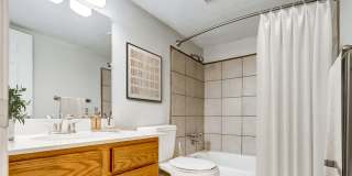 Aurora Meadows Gallery 33