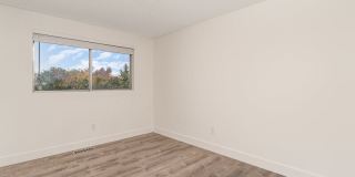 12707 89th Pl NE Gallery 19
