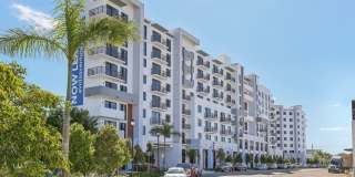 Avida Aventura Gallery 27