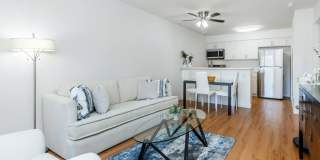 Park Sierra Gallery 2