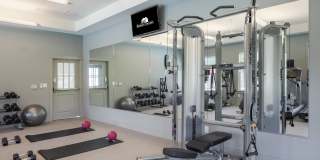 Berry Farms Gallery 16