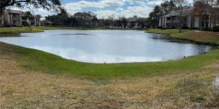 10265 Gandy Boulevard North - 11709 Gallery 19