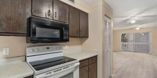 Cozy 2 Bed 1.5 Bathroom in Temple Terrace Gallery 20