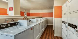 Gilbert Square Gallery 15