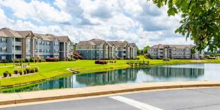 Summer Lake Gallery 16