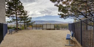 Sagecliff Apartments Gallery 22