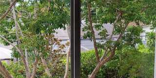 621 NW 78th Terrace unit: 205 Gallery 15