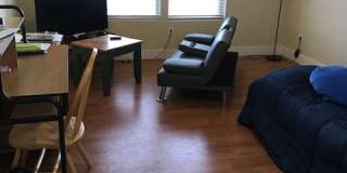 3097 Annie Street Gallery 27