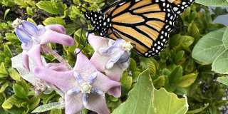 430 High Point Dr Gallery 8