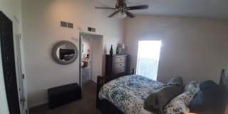 Pinegate Apartments Gallery 3