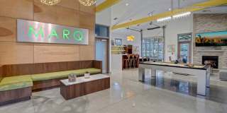 The Marq on Martin Apartments Gallery 5