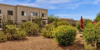 13636 N SAGUARO Boulevard Gallery 26